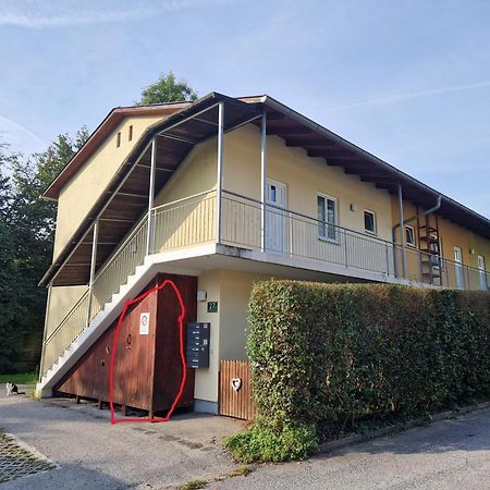 Erholung Pur Nahe Krankenhaus & Uni Mit Parkplatz! Apartment Graz Ngoại thất bức ảnh